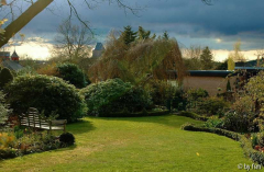 Gartenansichten 1