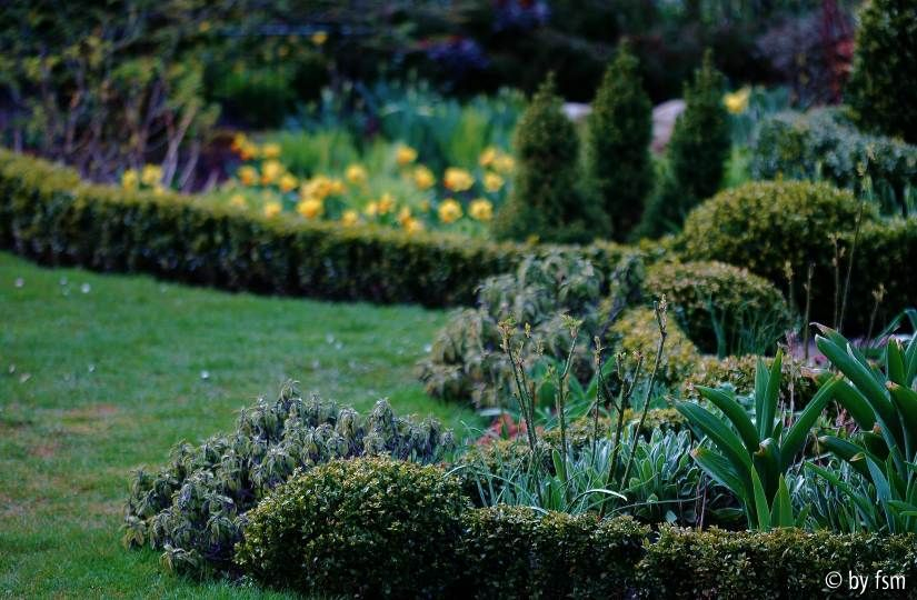 Gartenansichten 2