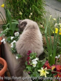Flauschpopo Cedric