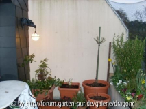 Rosenecke 04-08