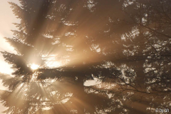 Sonne Apr1608