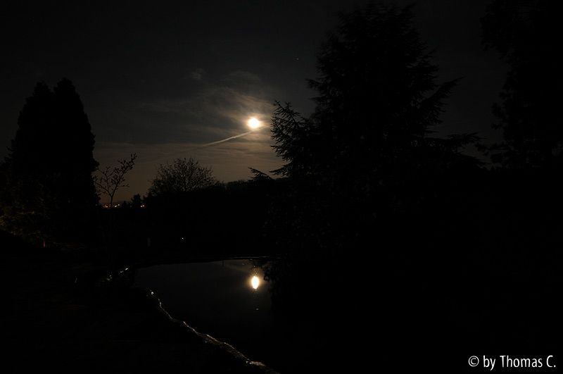 Vollmond im Teich