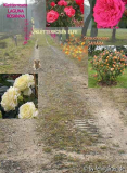 feldweg montage