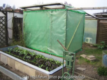 tomatenhaus1