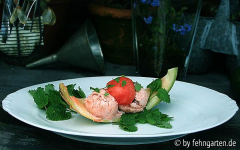 wassermelonenparfait mit frisher erdbeer