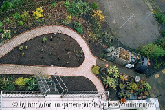 Mittleres Beet 2004 II
