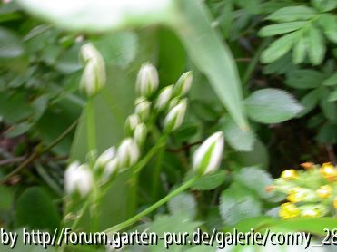 unbekannte3