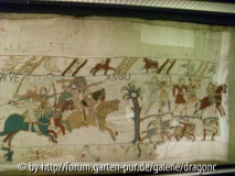 Nordfrankreich 2008 - Bayeux Teppich