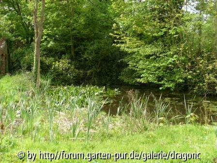 Nordfrankreich 2008 - Teich bei Schloß
