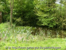Nordfrankreich 2008 - Teich bei Schloß