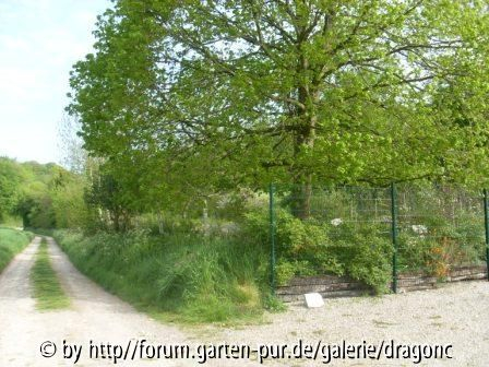 Nordfrankreich 2008 - MelaRosa Einfahrt