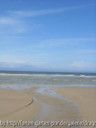 Nordfrankreich 2008 - Meer bei Ebbe