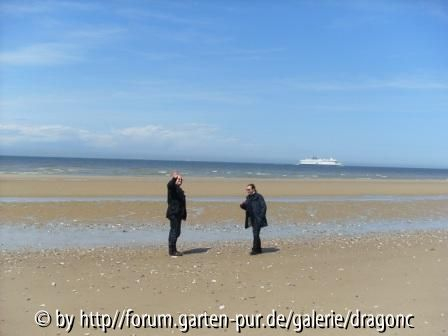 Nordfrankreich 2008 - Meer