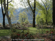 parco locarno neu