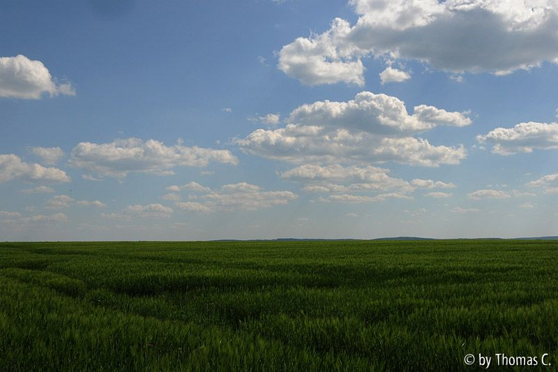 Maifarben 03