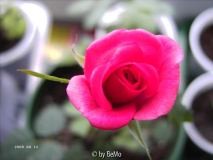 16-08-01_R.jpg