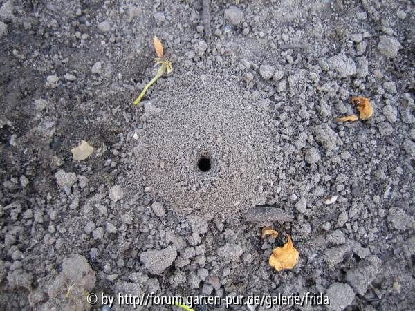 wer macht das?