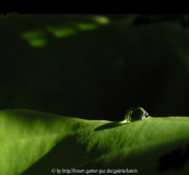 tief in der sum and substance