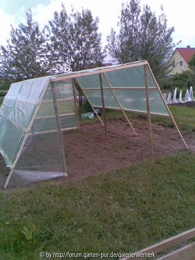 Gewächshaus6