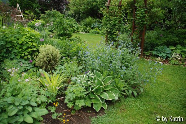 Hochsommerbeet
