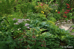 Apfelbaumbeet 2