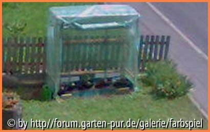 Tomatenhäusle