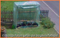Tomatenhäusle