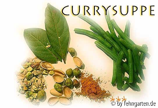 currysuppe tz***