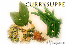currysuppe tz***