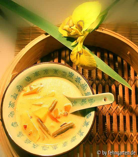 currysuppe tz***