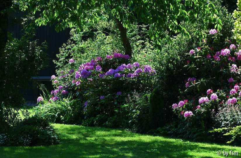 Gartenansichten 5 23-05-2008
