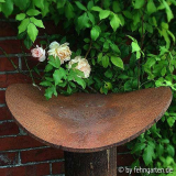 deprez à fleur jaune-rost