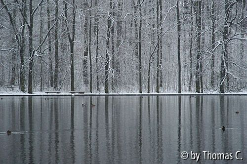 Winterliche Spiegelung im Adenauer-Weiher