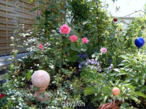 Hinterhof-Beet Ende Mai 2005