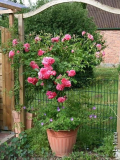 Rosarium Uetersen
