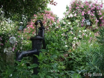Garten von Klara Meins