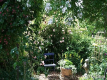 Garten von Klara Meins 2
