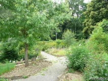 Arzneipflanzengarten