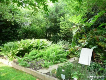 Farngarten