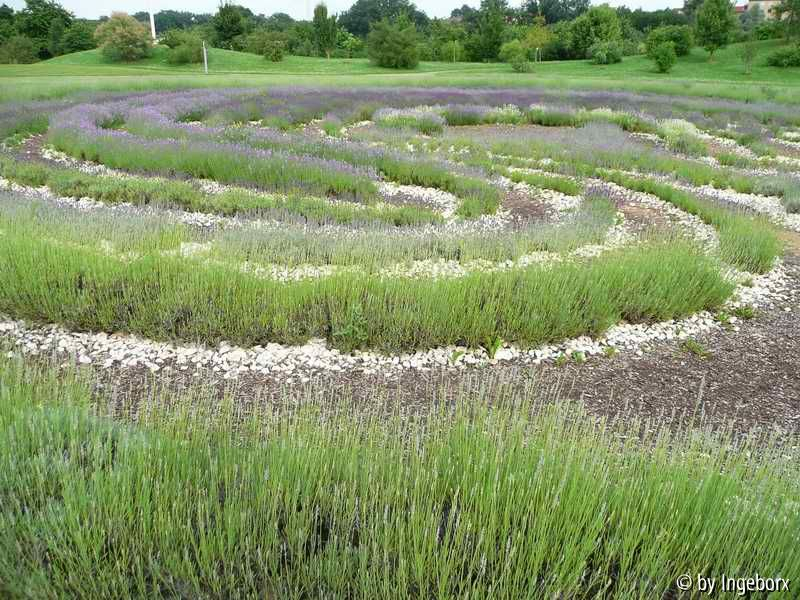 Labyrinth k