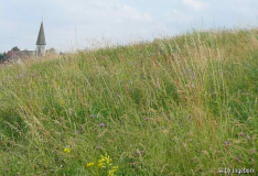Dorf