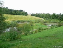 Teiche