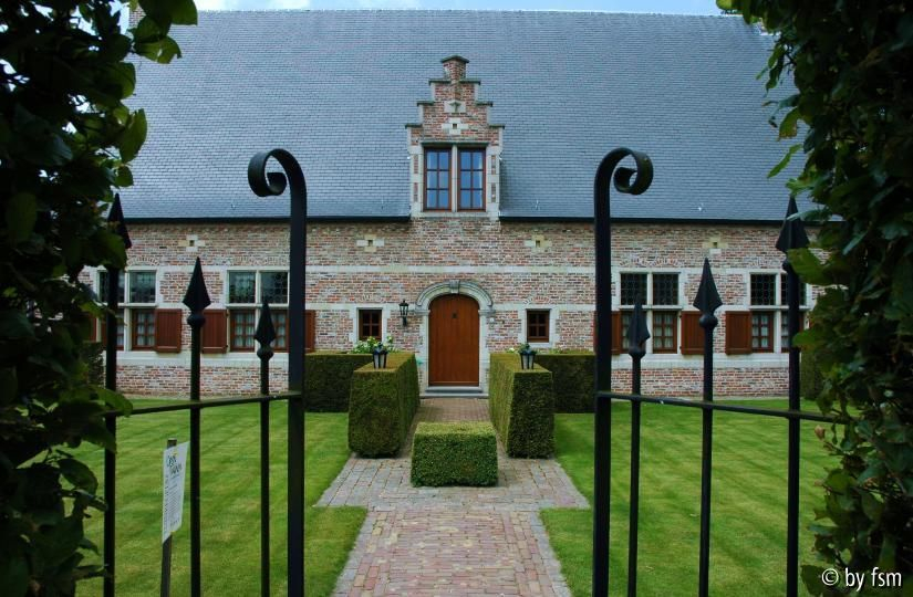Geel 6