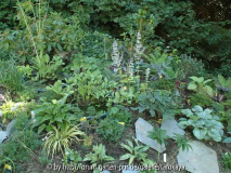 feenbeet mit china clay