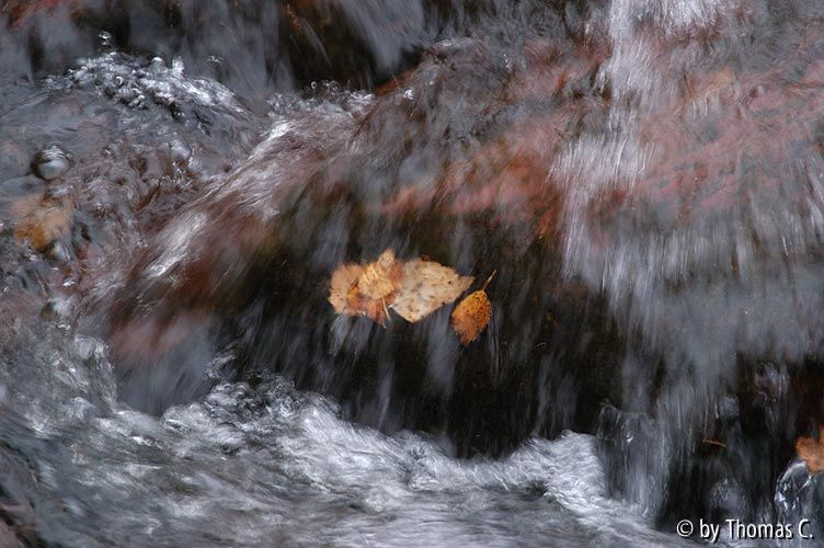 Eschbach - Herbstwasser