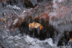Eschbach - Herbstwasser
