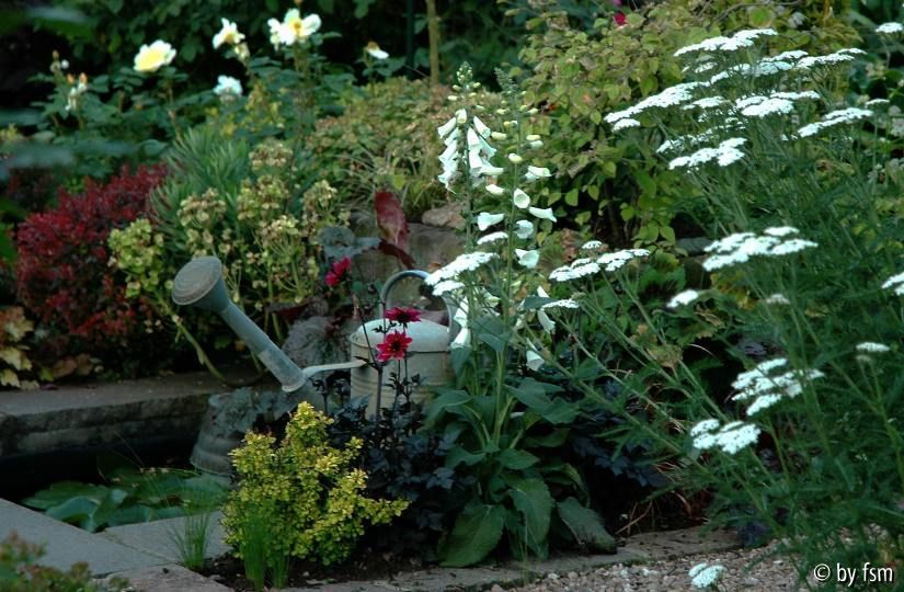 Gartenansichten 3