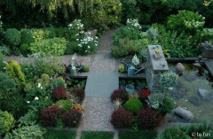 Gartenansichten 4