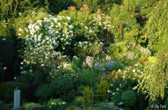 Gartenansichten 5
