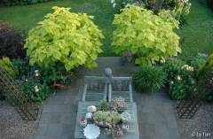 Gartenansichten 6